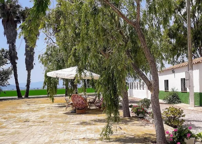 Mas De Chapa Amposta