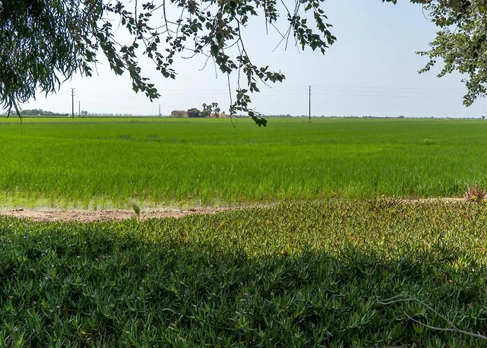 Mas De Chapa Villa