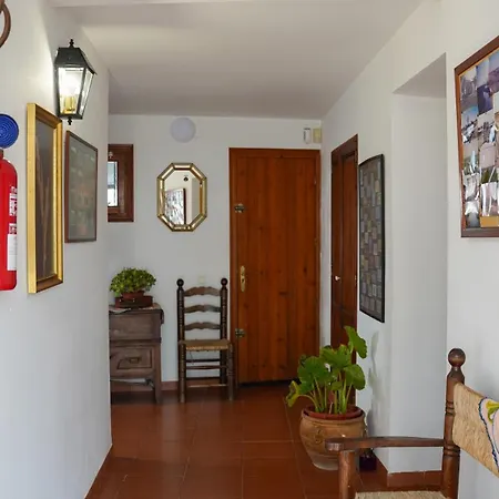 Mas De Chapa 阿姆泼斯塔