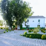 Mas De Chapa